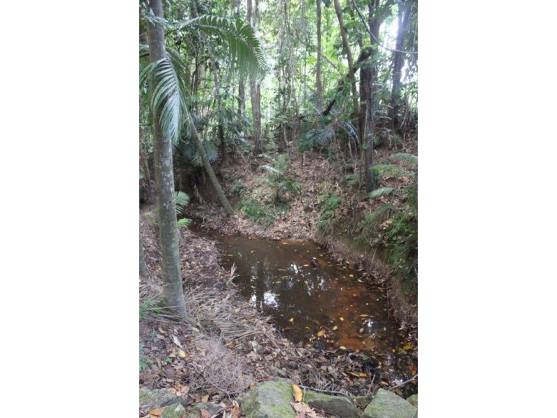 Lot 78 Forest Creek Road FOREST CREEK, Daintree QLD 4873