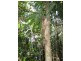 Lot 28 Salisbury Drive, Julatten QLD 4871