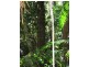 Lot 28 Salisbury Drive, Julatten QLD 4871