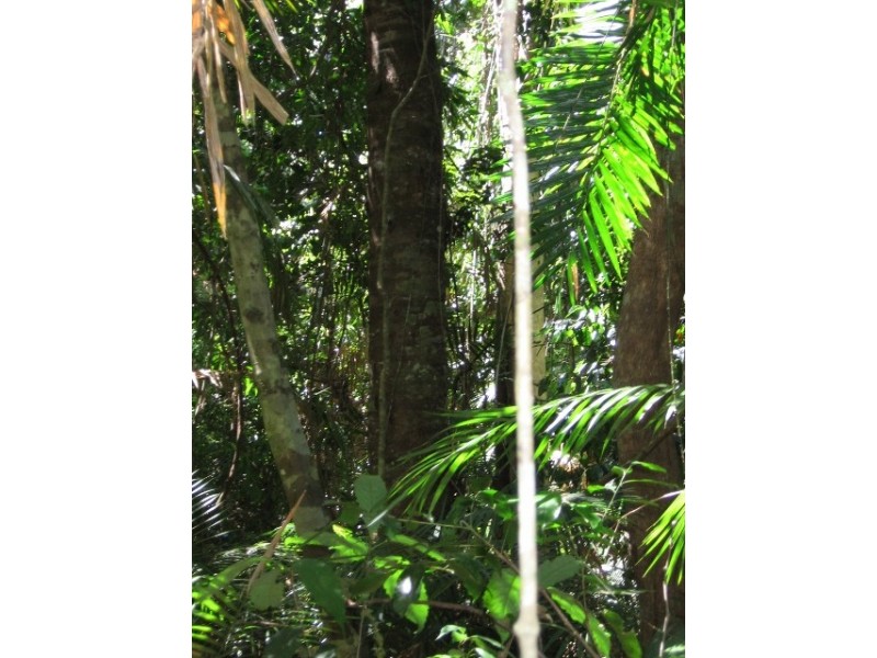 Lot 28 Salisbury Drive, Julatten QLD 4871