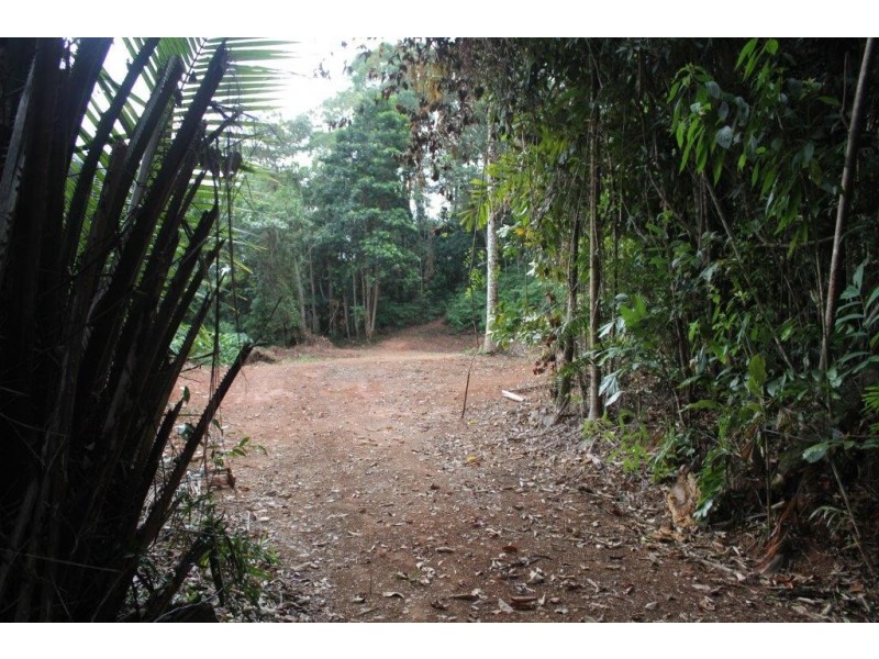 Lot 478 Black Bean Road COW BAY, Daintree QLD 4873