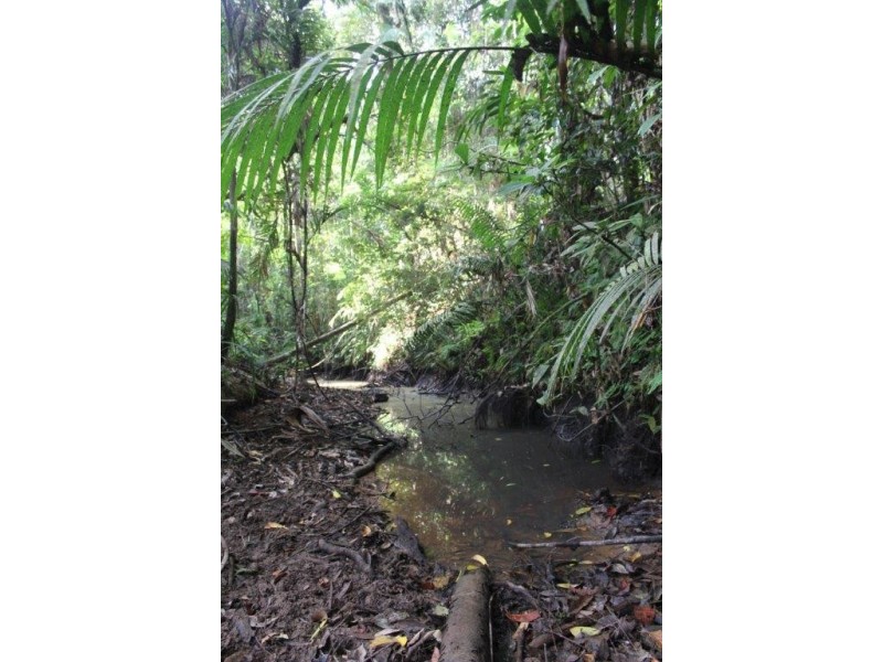 Lot 478 Black Bean Road COW BAY, Daintree QLD 4873