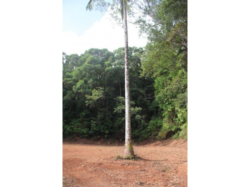 Lot 478 Black Bean Road COW BAY, Daintree QLD 4873