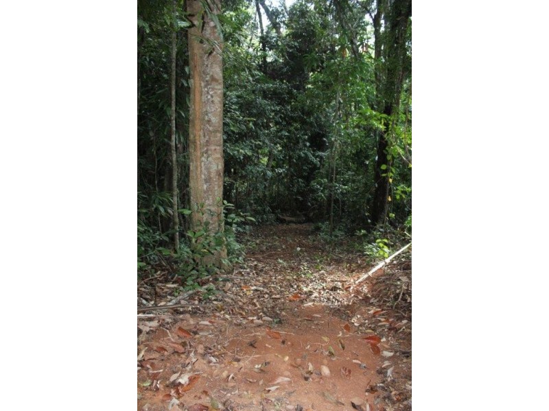 Lot 478 Black Bean Road COW BAY, Daintree QLD 4873
