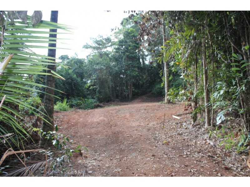Lot 478 Black Bean Road COW BAY, Daintree QLD 4873