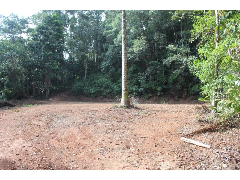 Lot 478 Black Bean Road COW BAY, Daintree QLD 4873