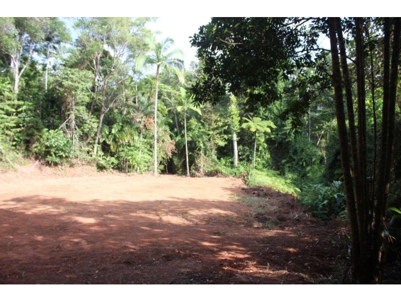 Lot 478 Black Bean Road COW BAY, Daintree QLD 4873