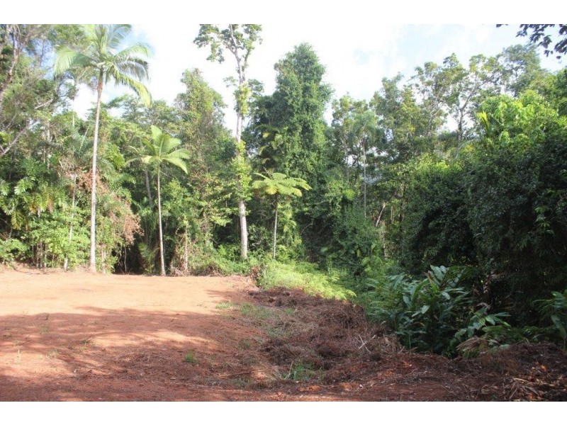 Lot 478 Black Bean Road COW BAY, Daintree QLD 4873