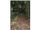 Lot 478 Black Bean Road COW BAY, Daintree QLD 4873