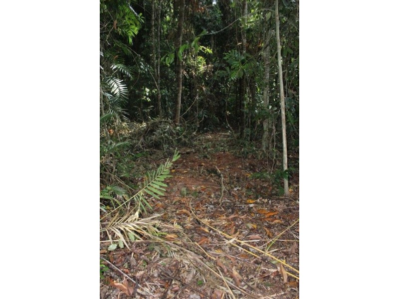 Lot 478 Black Bean Road COW BAY, Daintree QLD 4873