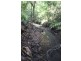 Lot 478 Black Bean Road COW BAY, Daintree QLD 4873