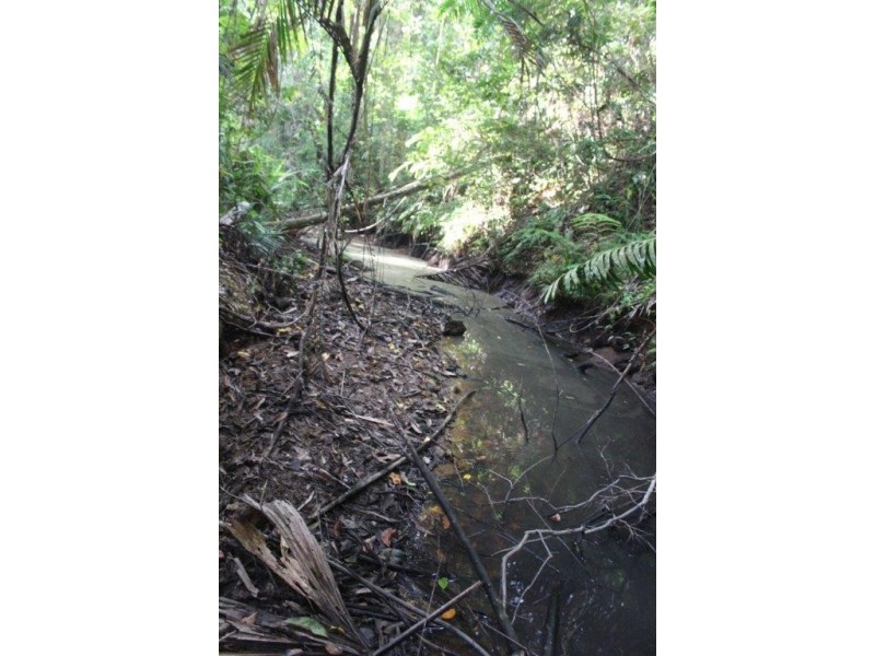 Lot 478 Black Bean Road COW BAY, Daintree QLD 4873