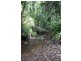 Lot 478 Black Bean Road COW BAY, Daintree QLD 4873