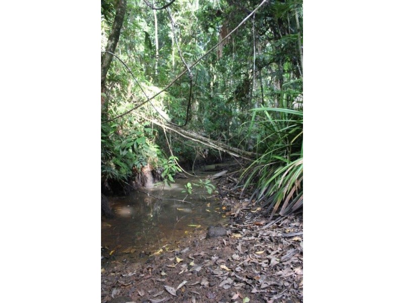 Lot 478 Black Bean Road COW BAY, Daintree QLD 4873