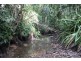Lot 478 Black Bean Road COW BAY, Daintree QLD 4873