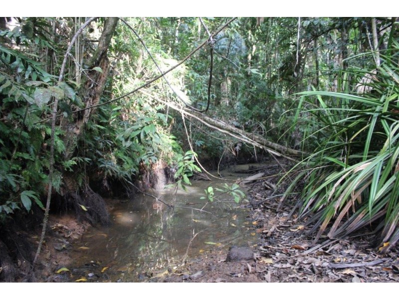 Lot 478 Black Bean Road COW BAY, Daintree QLD 4873