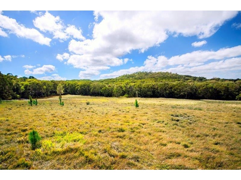 361 Pinnacle Road, Julatten QLD 4871