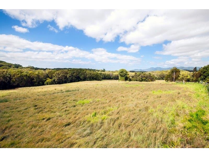 361 Pinnacle Road, Julatten QLD 4871