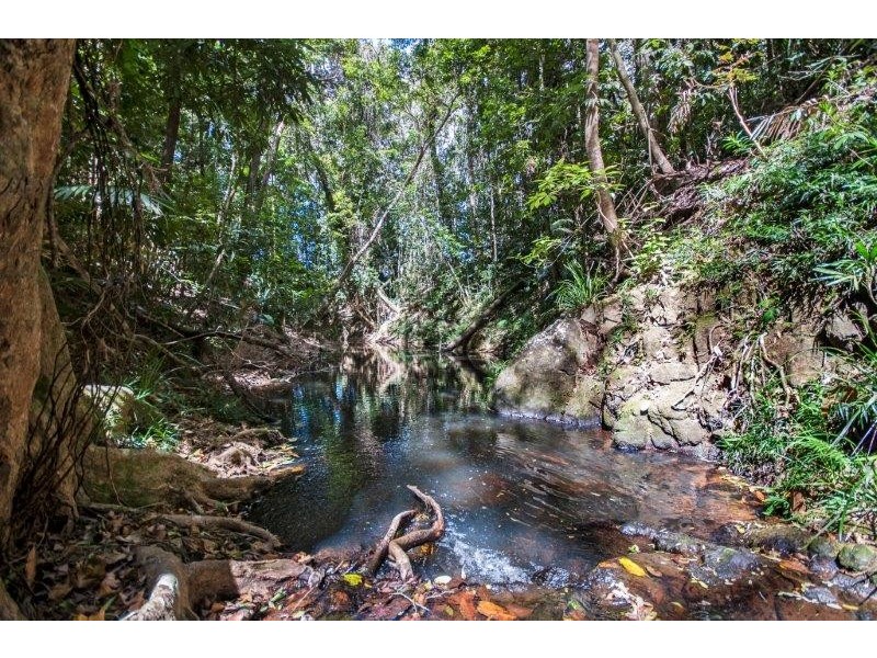 361 Pinnacle Road, Julatten QLD 4871