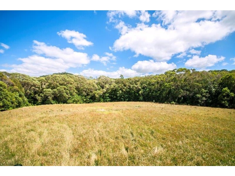 361 Pinnacle Road, Julatten QLD 4871