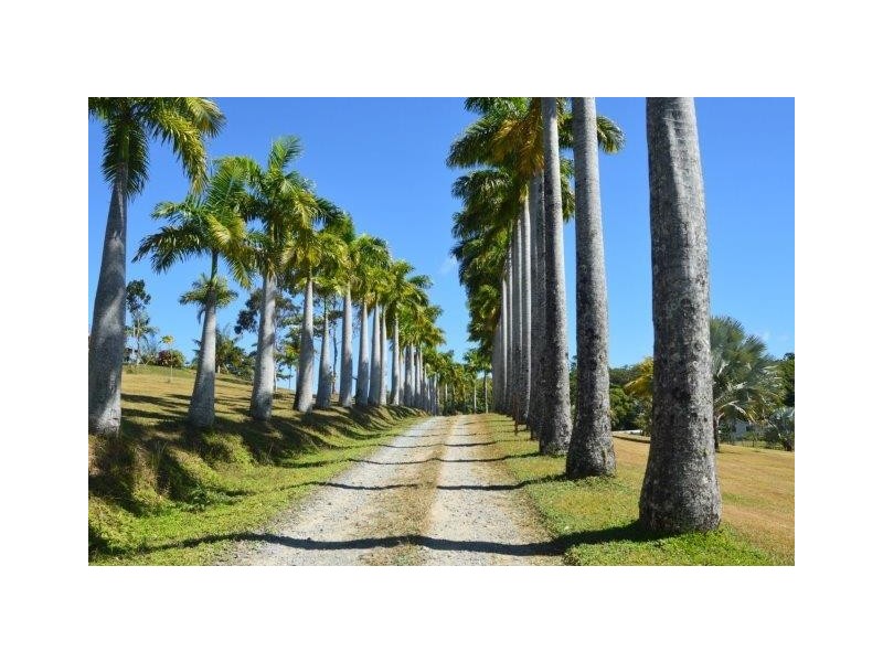 153 Highland Drive, Julatten QLD 4871