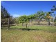 153 Highland Drive, Julatten QLD 4871