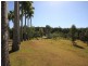 153 Highland Drive, Julatten QLD 4871