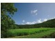 Lot 6 Thomson Low Drive, Shannonvale QLD 4873