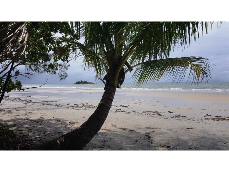 8 Cape Trib Road THORNTON BEACH, Daintree QLD 4873