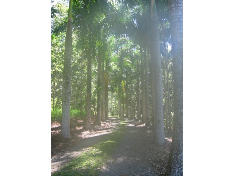 Lot 4 / 170 Richards Rd, Julatten QLD 4871