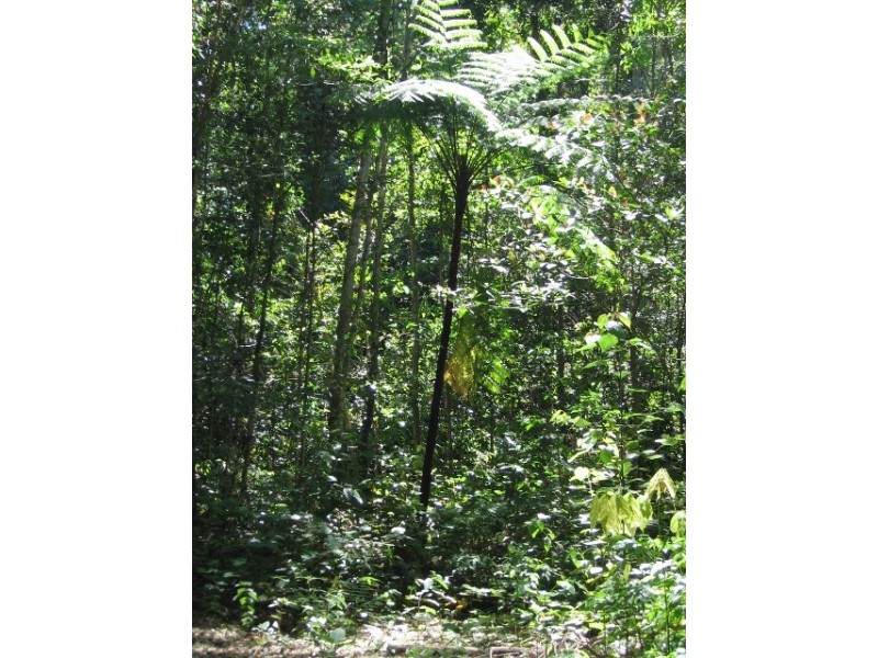 Lot 4 / 170 Richards Rd, Julatten QLD 4871