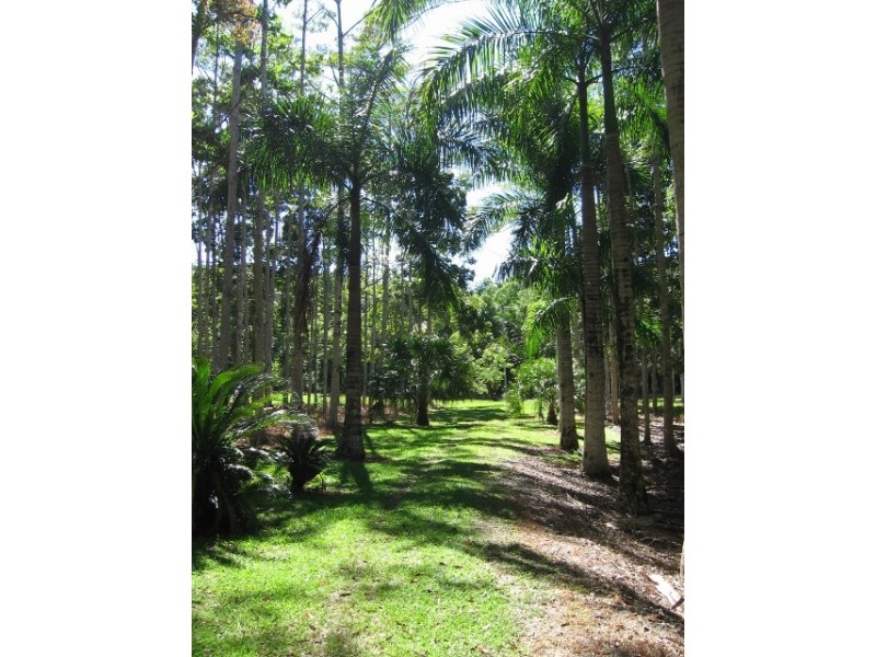 Lot 4 / 170 Richards Rd, Julatten QLD 4871