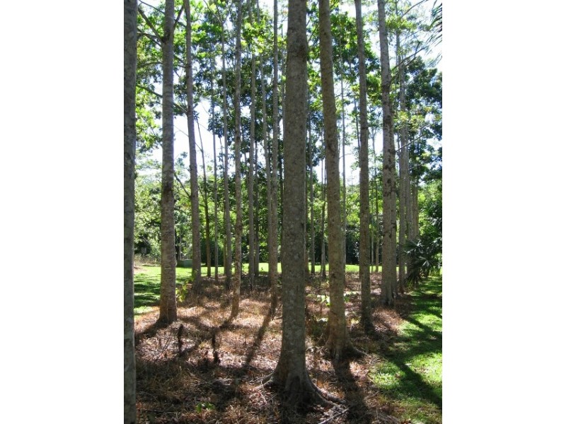 Lot 4 / 170 Richards Rd, Julatten QLD 4871