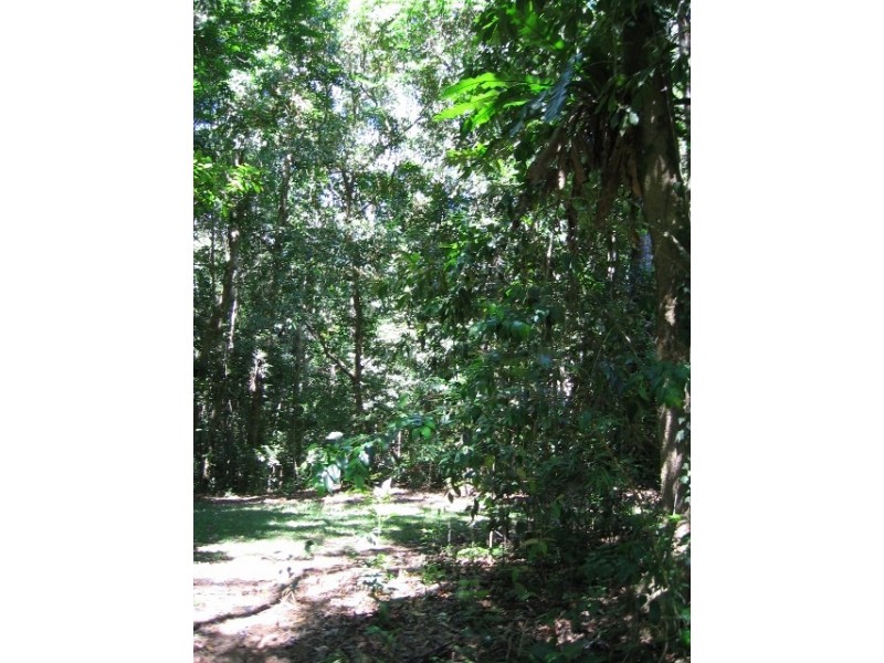 Lot 4 / 170 Richards Rd, Julatten QLD 4871