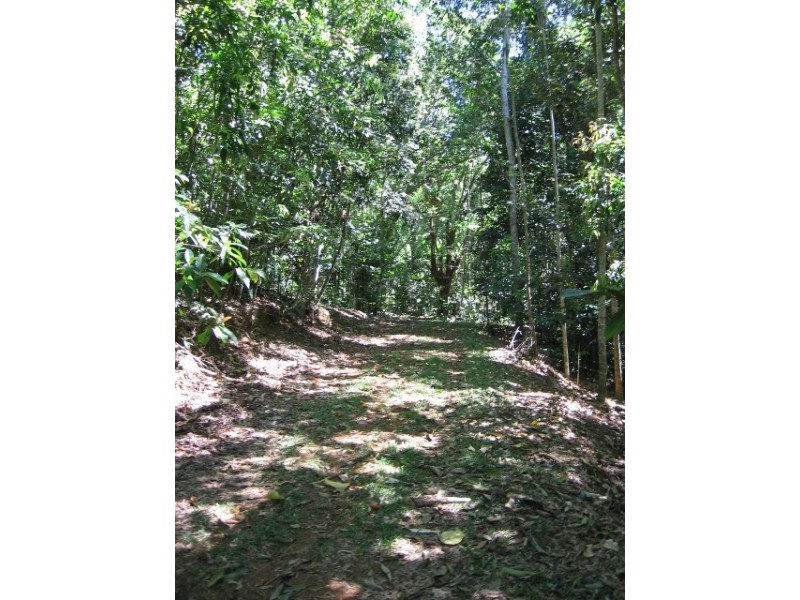 Lot 4 / 170 Richards Rd, Julatten QLD 4871