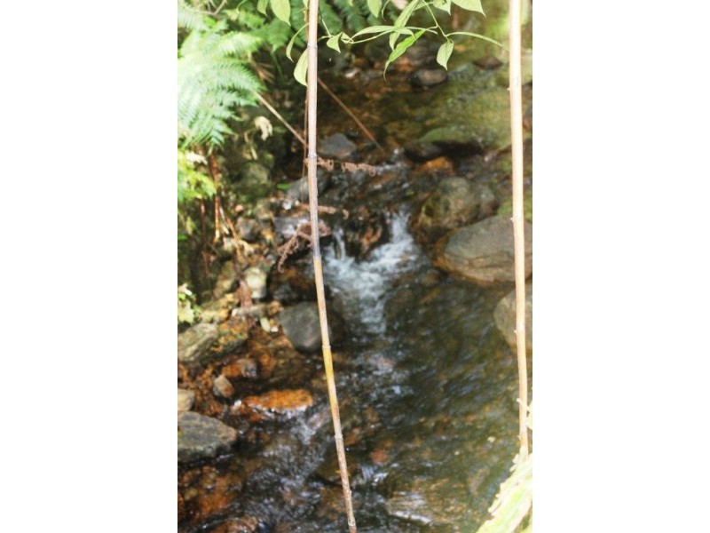 Lot 378 Hickory Road Cow Bay, Daintree QLD 4873