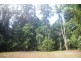 Lot 378 Hickory Road Cow Bay, Daintree QLD 4873