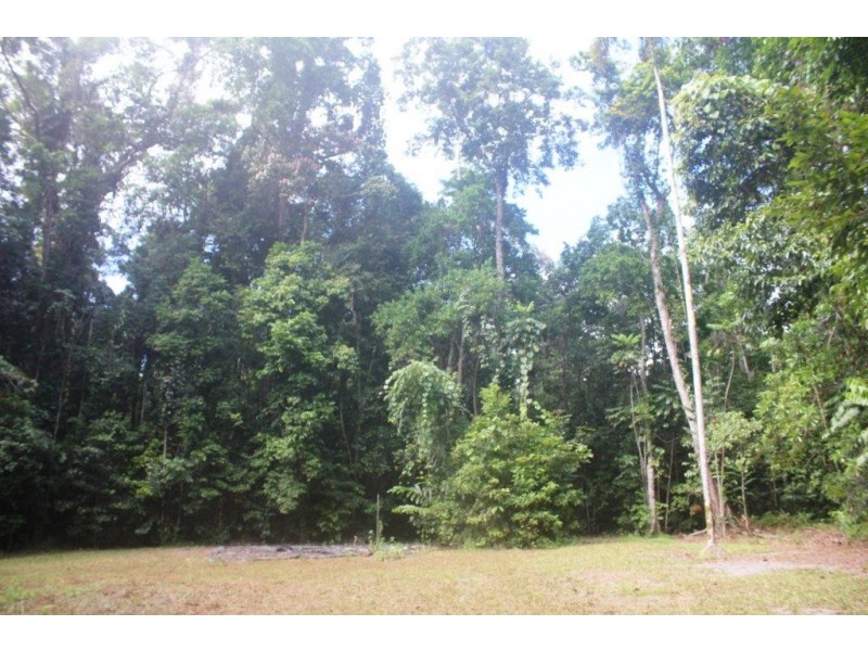 Lot 378 Hickory Road Cow Bay, Daintree QLD 4873