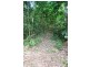 Lot 378 Hickory Road Cow Bay, Daintree QLD 4873