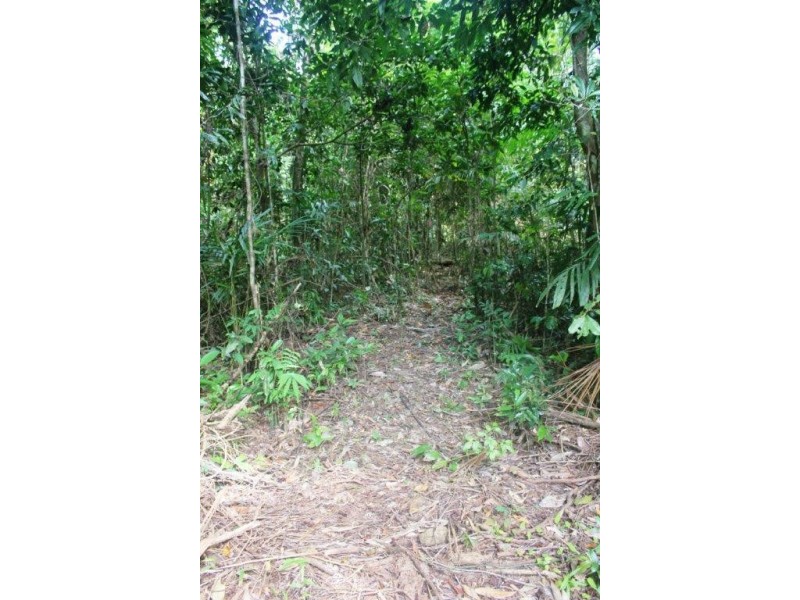 Lot 378 Hickory Road Cow Bay, Daintree QLD 4873