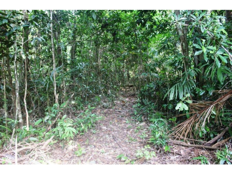 Lot 378 Hickory Road Cow Bay, Daintree QLD 4873