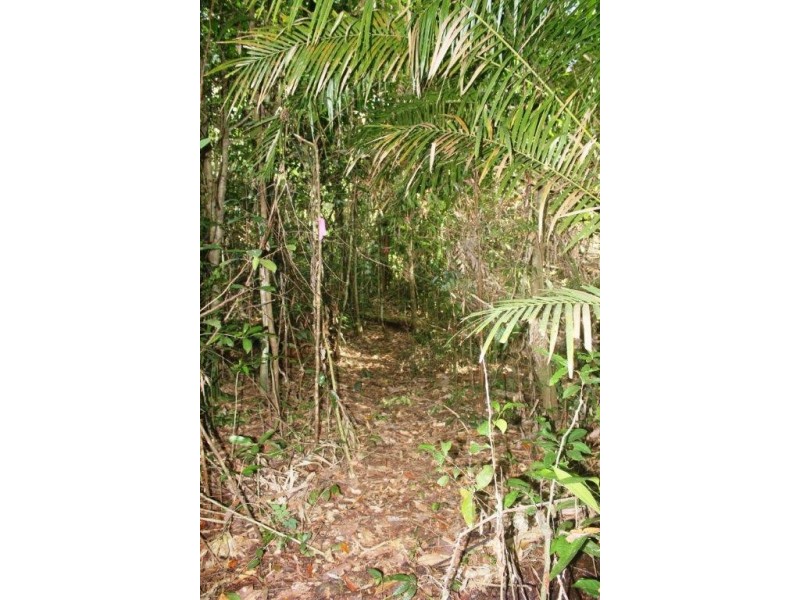 Lot 378 Hickory Road Cow Bay, Daintree QLD 4873