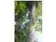 Lot 378 Hickory Road Cow Bay, Daintree QLD 4873
