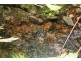 Lot 378 Hickory Road Cow Bay, Daintree QLD 4873