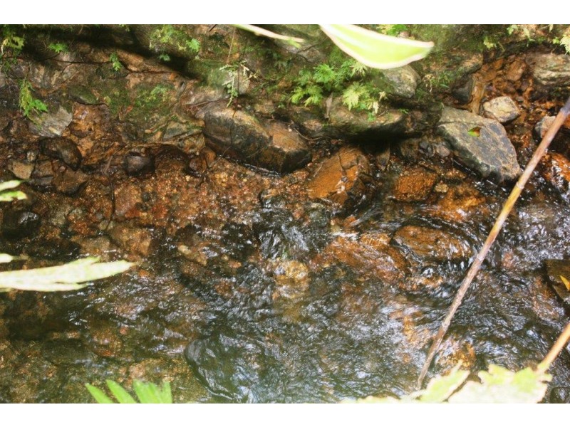 Lot 378 Hickory Road Cow Bay, Daintree QLD 4873