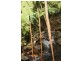 Lot 378 Hickory Road Cow Bay, Daintree QLD 4873