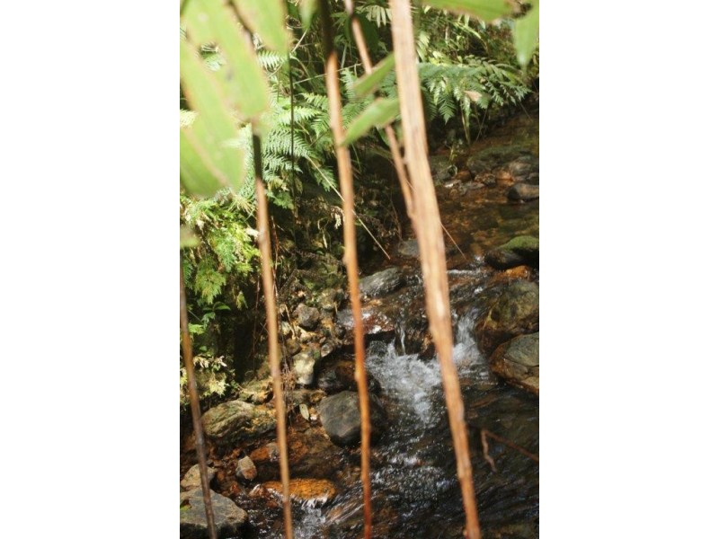 Lot 378 Hickory Road Cow Bay, Daintree QLD 4873