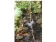 Lot 378 Hickory Road Cow Bay, Daintree QLD 4873
