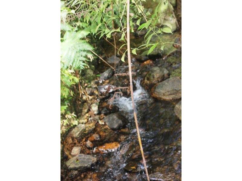 Lot 378 Hickory Road Cow Bay, Daintree QLD 4873