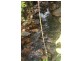 Lot 378 Hickory Road Cow Bay, Daintree QLD 4873